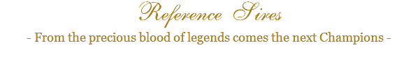 Reference Sires - From the precious blood of legends comes the next Champions - 
